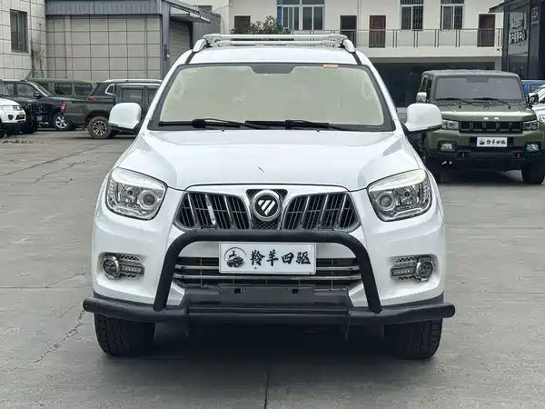 Futian Savana 2020