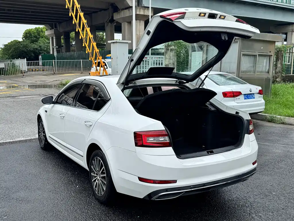 Skoda Octavia 2019 — фото 12