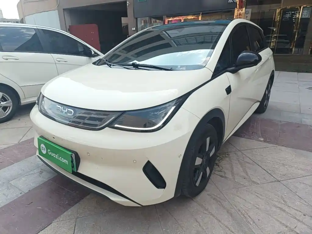 BYD Dolphin 2025