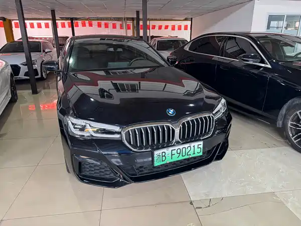 BMW 5 Series New Energy 2023