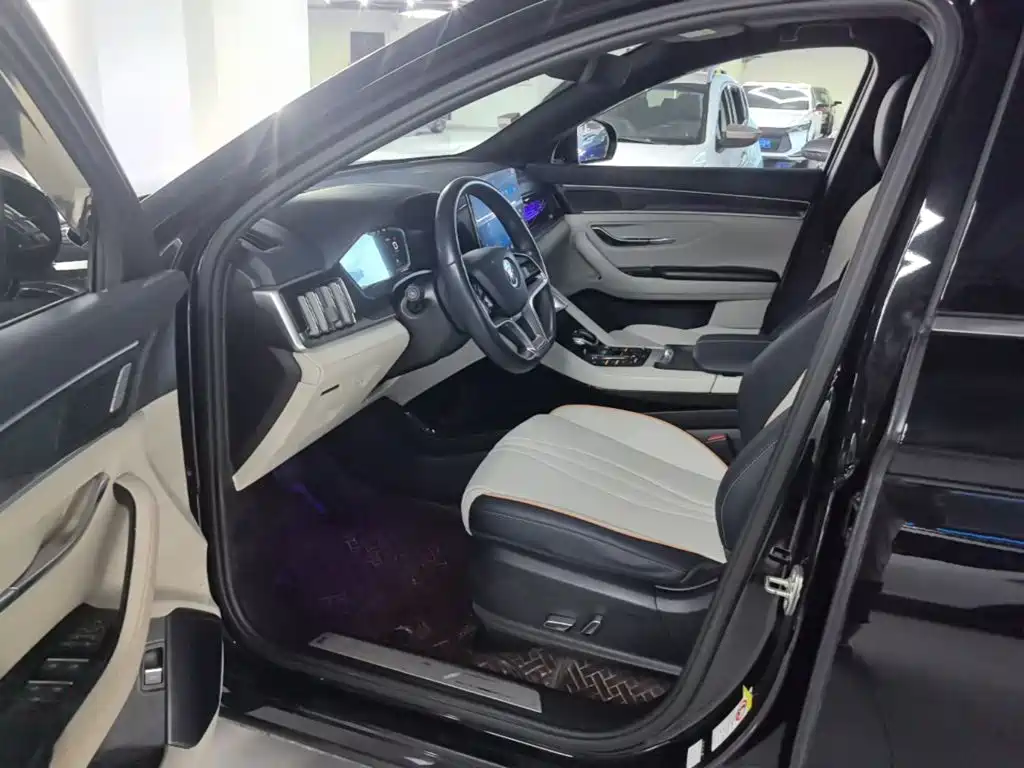 BYD Song PLUS New Energy 2023 — фото 16