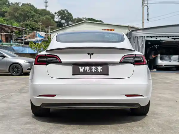 Tesla Model 3 2021