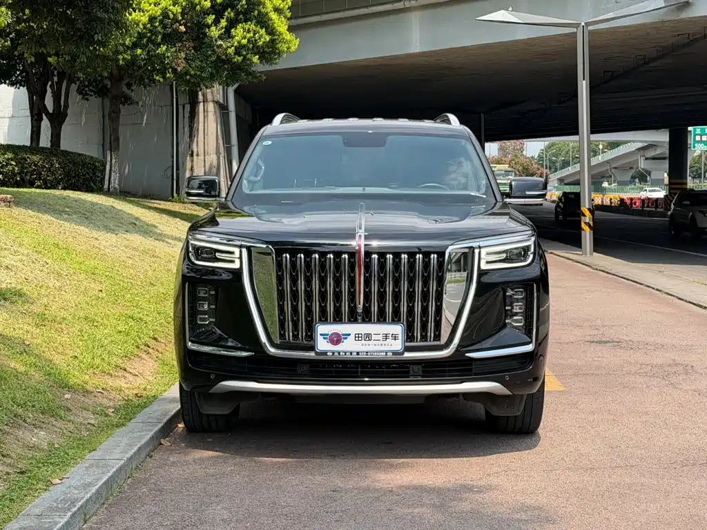 Hongqi Golden Sunflower Guoyao 2023 — фото 2