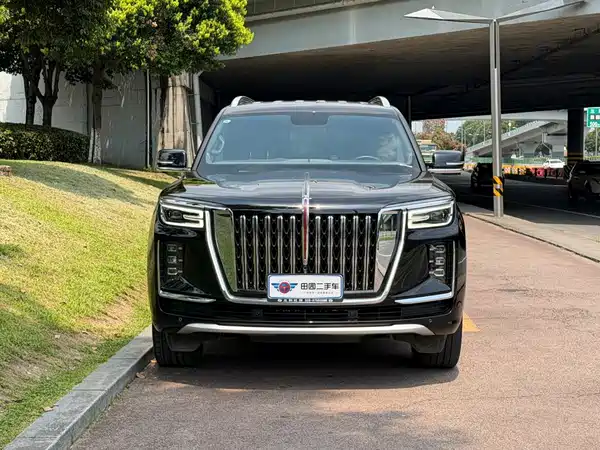 Hongqi Golden Sunflower Guoyao 2023