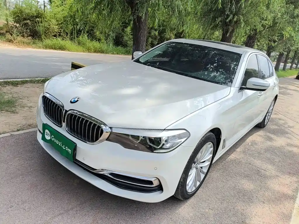 BMW 5 Series 2019