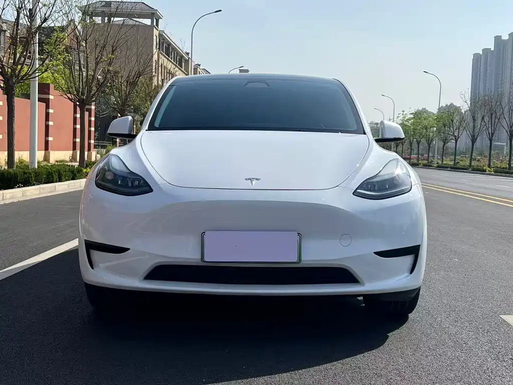 Tesla Model Y 2024 — фото 2