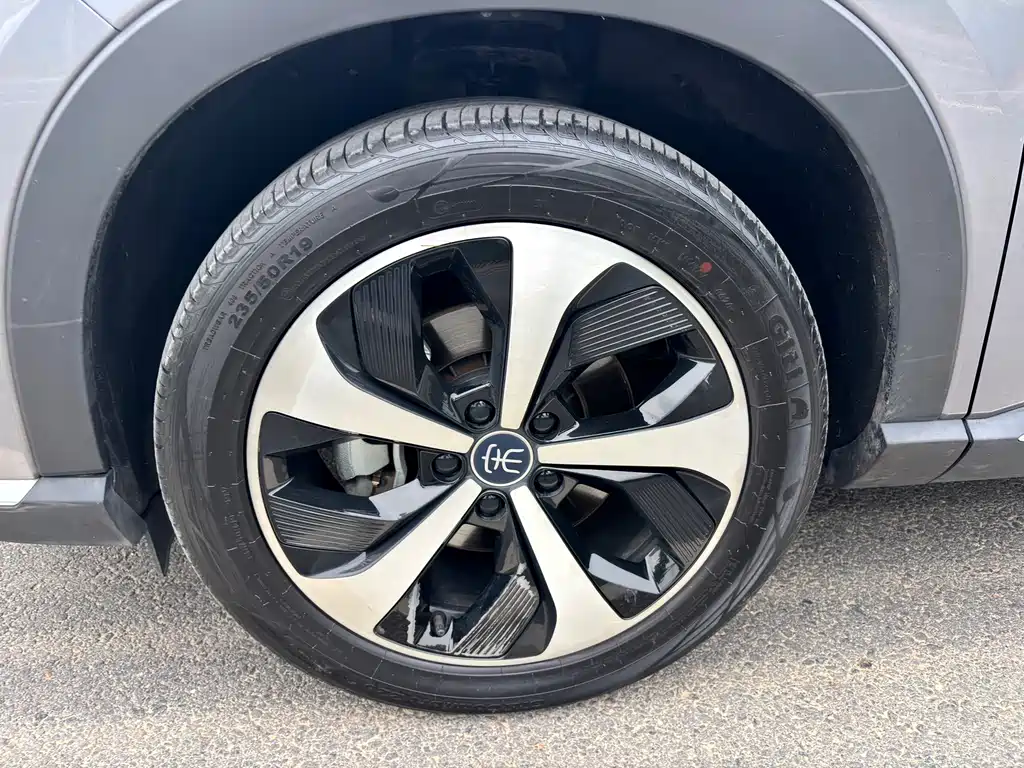 BYD PLUS New Energy 2023 — фото 12