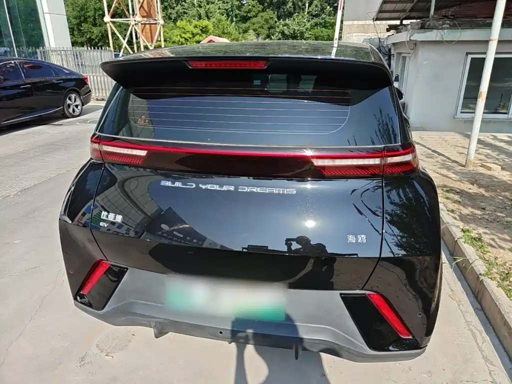 BYD Seagull 2024