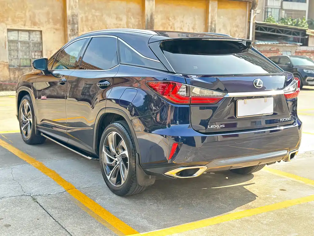 Lexus RX 2018 — фото 20