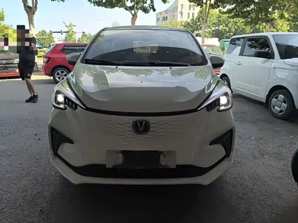 Changan Benben E-Star 2020