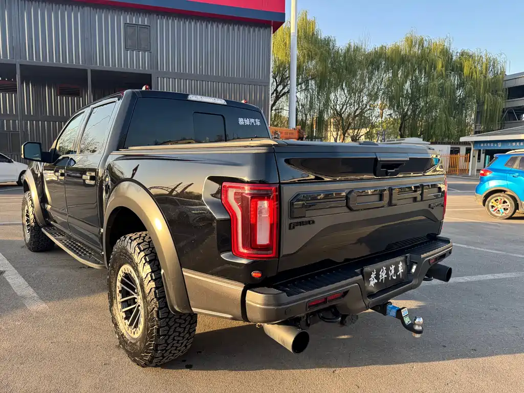 Ford F-150 Raptor 2021 — фото 8