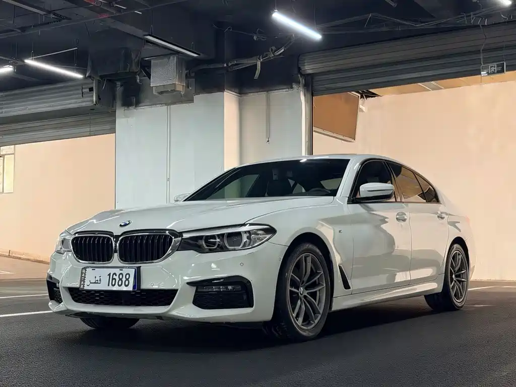 BMW 5 Series 2019
