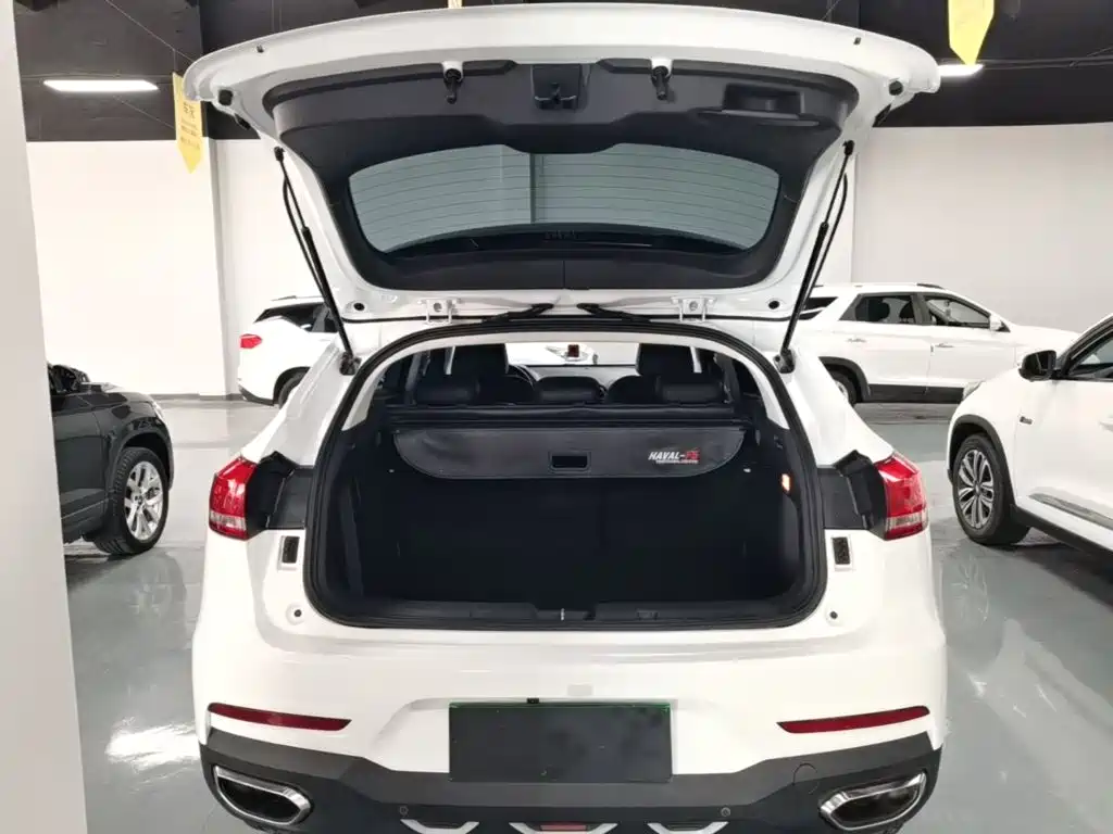 Haval F5 2020 — фото 19