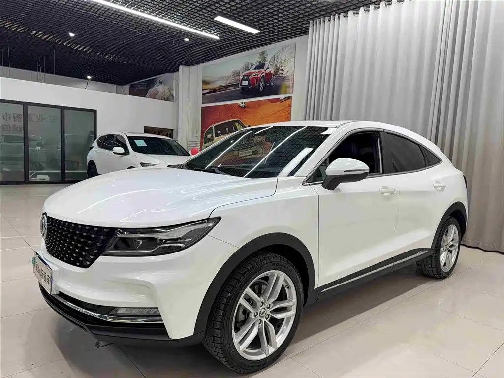 Fengguang ix5 2019