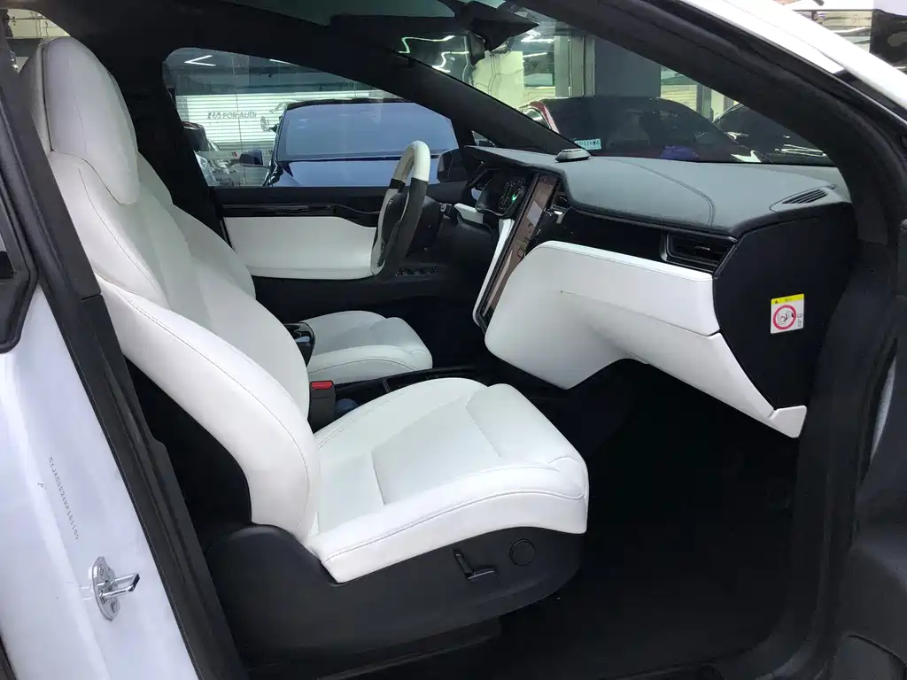 Tesla Model X 2019 — фото 10