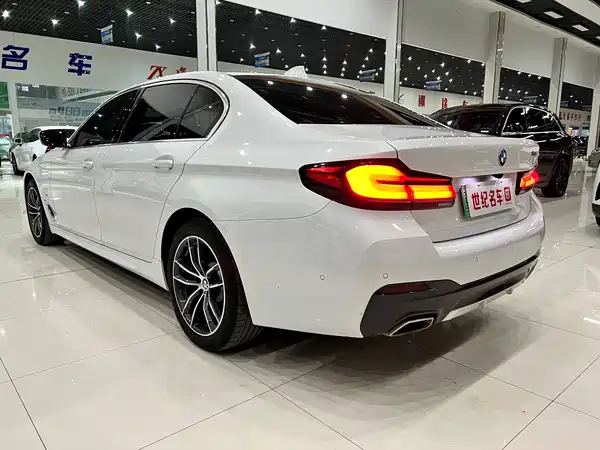 BMW 5 Series New Energy 2021