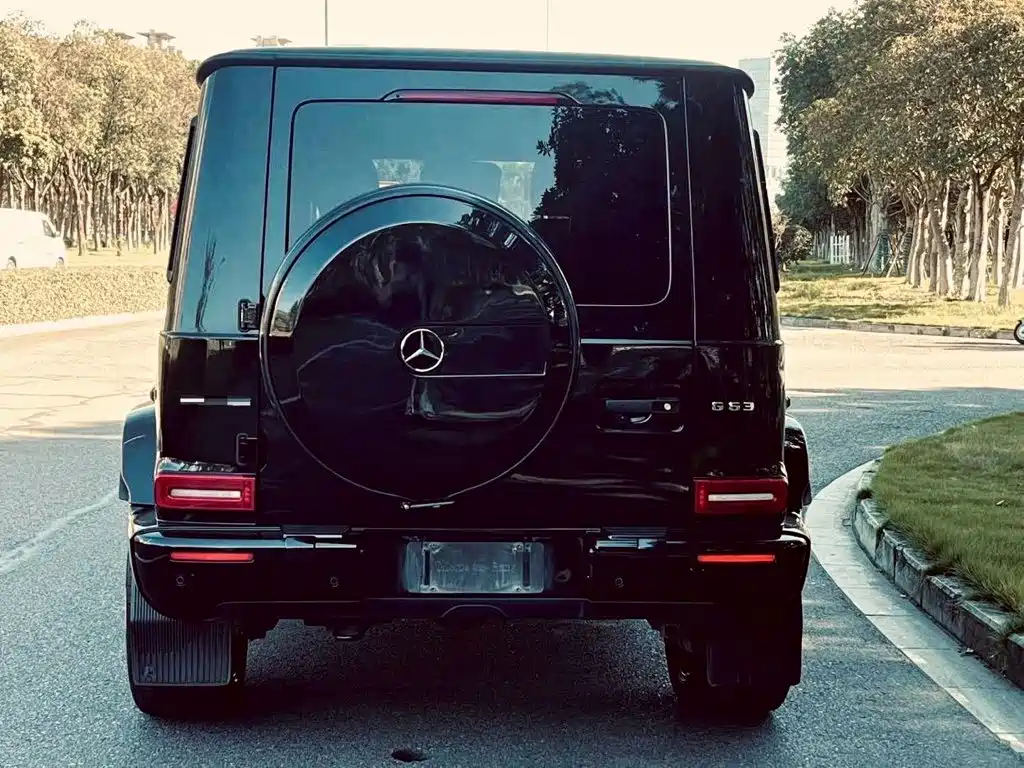 Mercedes-Benz G-Class AMG 2019 — фото 5