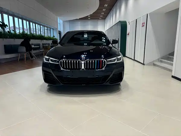 BMW 5 Series New Energy 2021