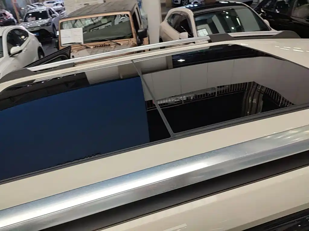 Haval Big Dog PLUS New Energy 2023 — фото 21