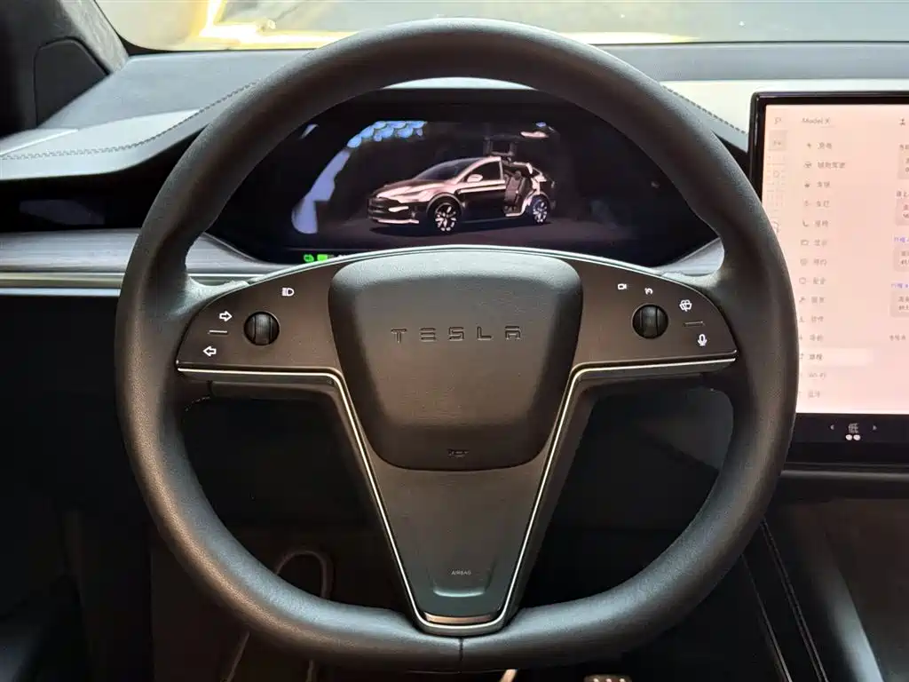 Tesla Model X 2023 — фото 12