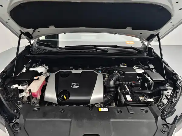 Lexus NX 2020