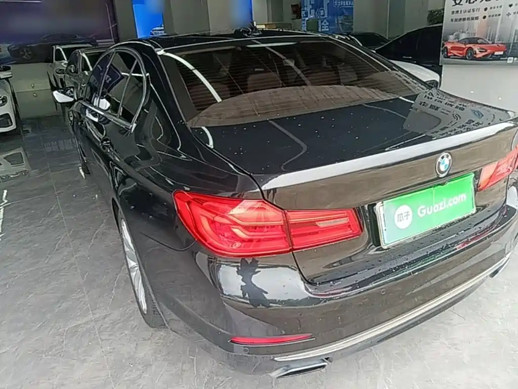 BMW 5 Series New Energy 2019