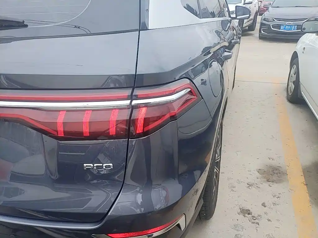 BYD Pro New Energy 2019 — фото 8