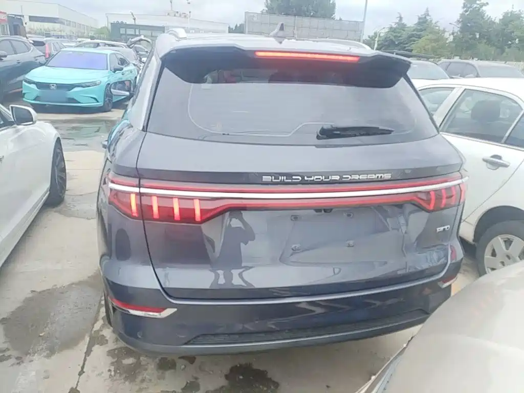 BYD Pro New Energy 2019