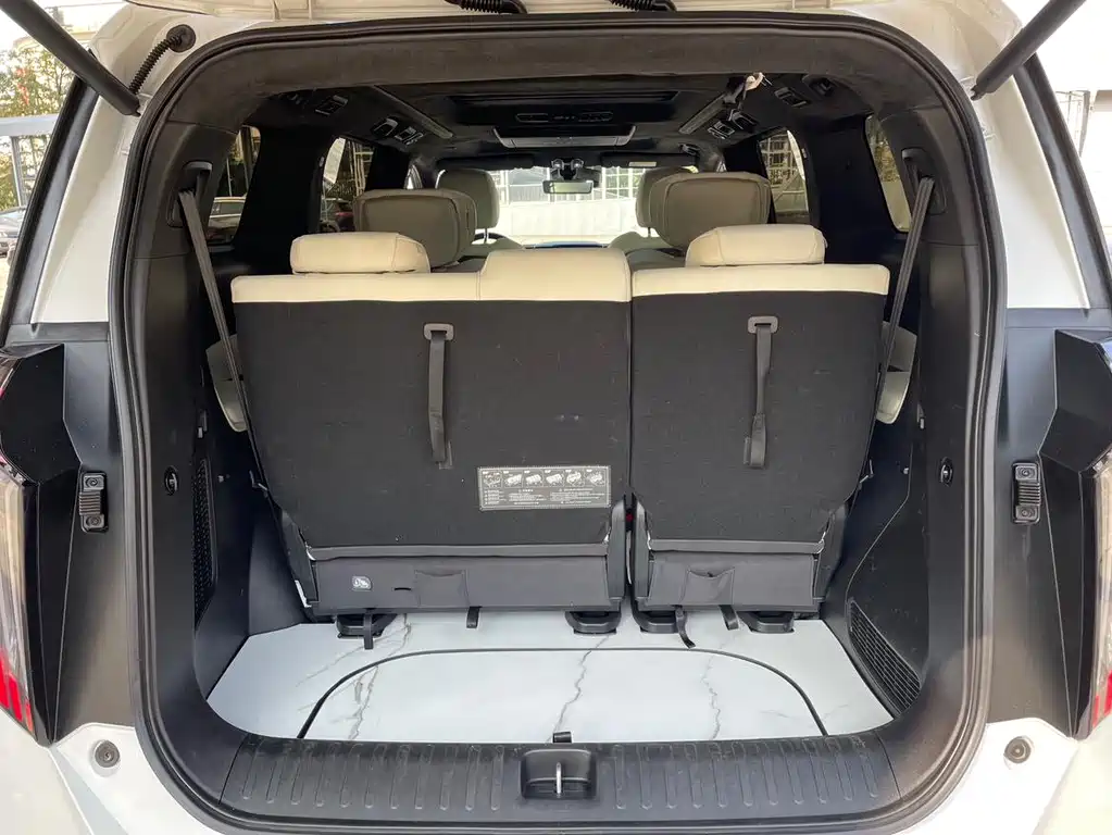 GAC Motor Trumpchi M8 2023 — фото 23