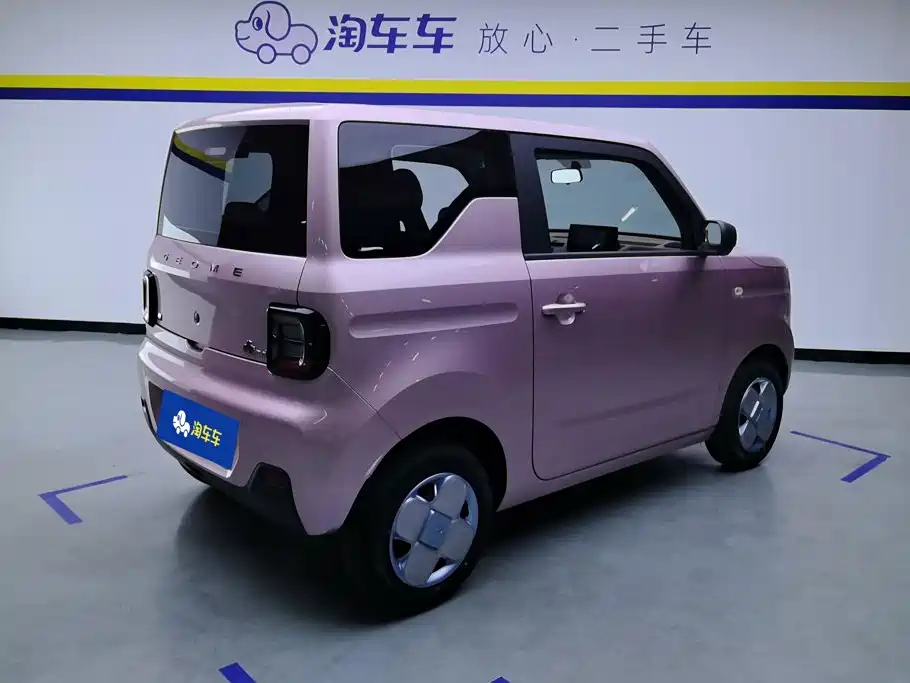 Galaxy Panda 2023