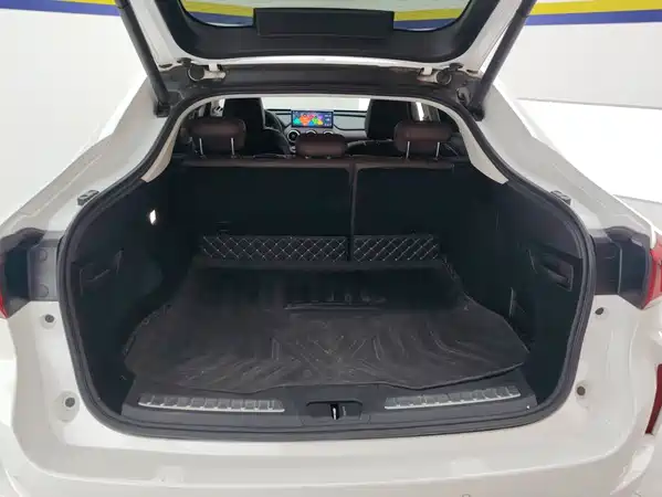 Wey VV7 GT 2020