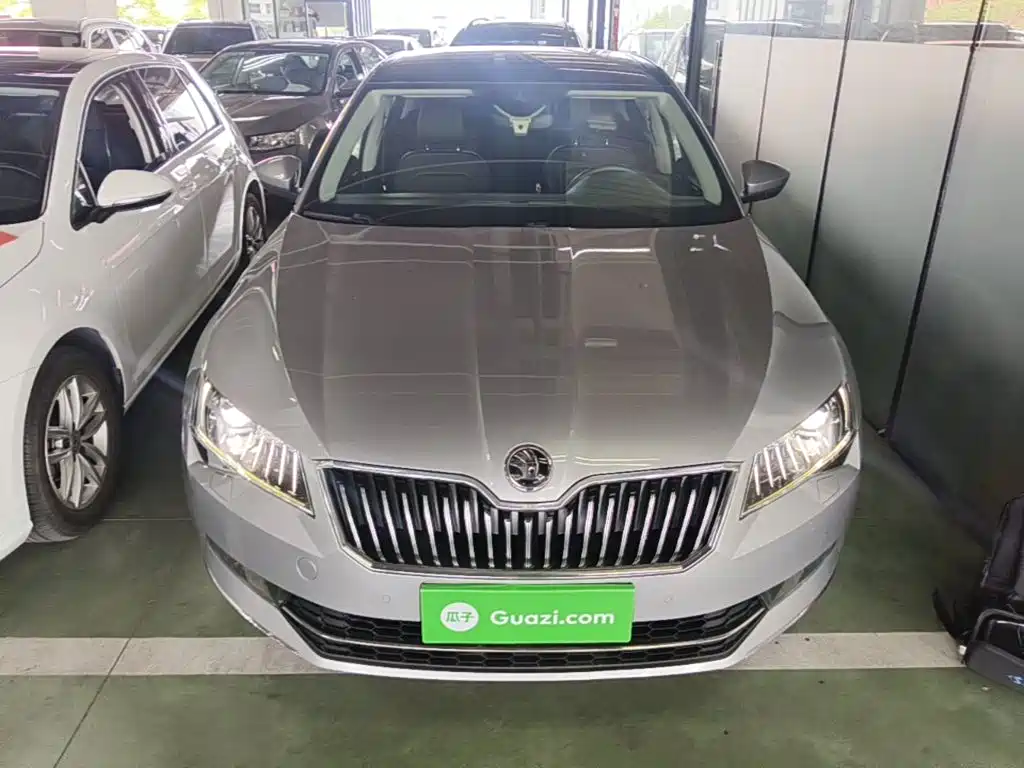 Skoda Speedy 2017