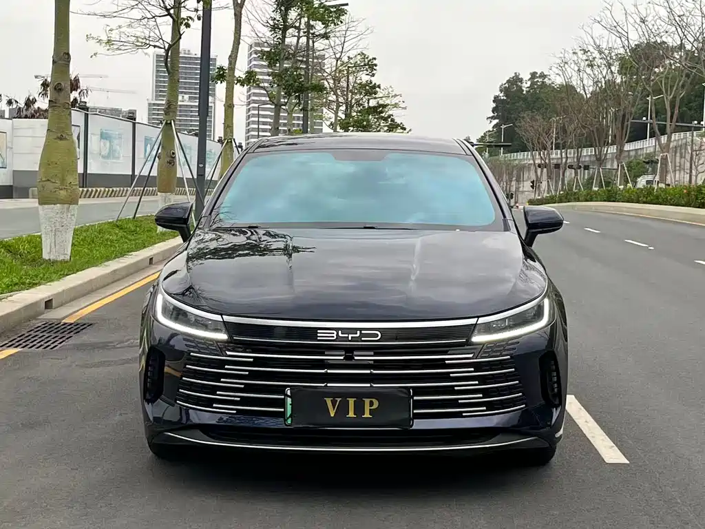BYD Destroyer 05 2025 — фото 2