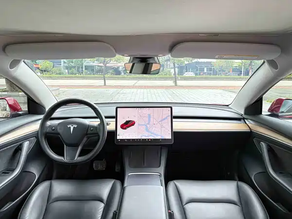 Tesla Model 3 2021