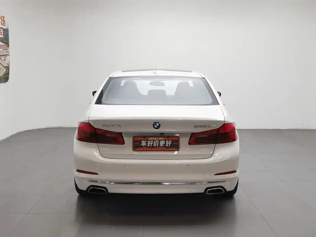 BMW 5 Series New Energy 2019