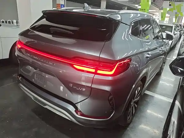 BYD Song PLUS New Energy 2024