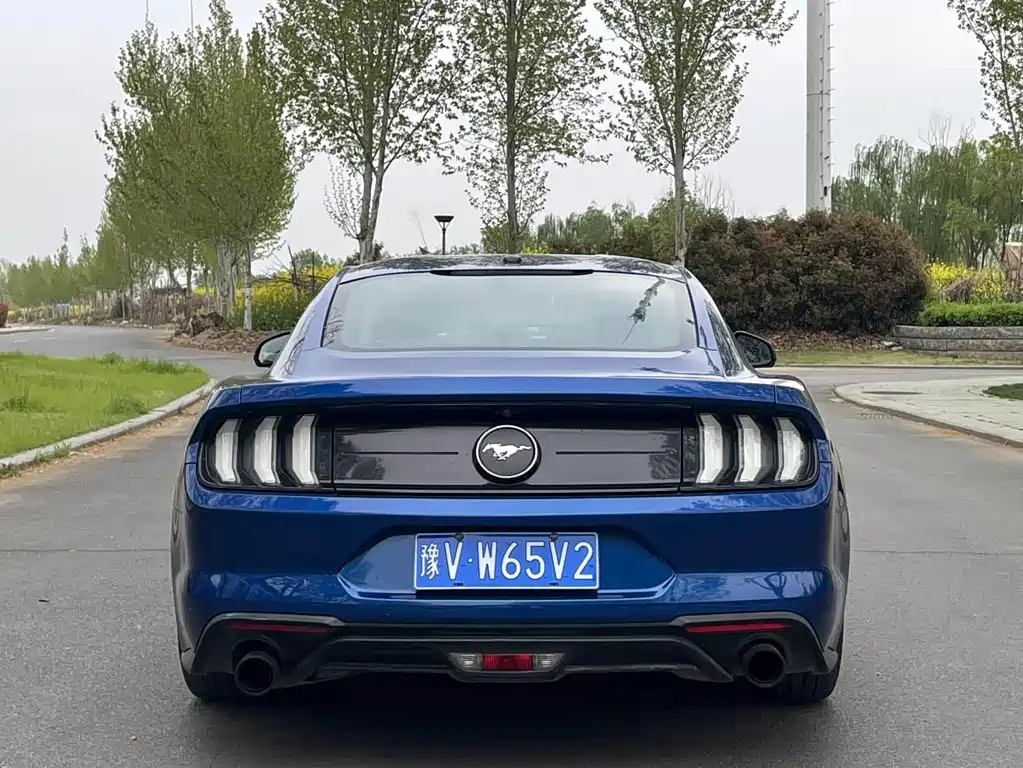 Ford Mustang 2019 — фото 8