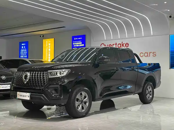 Great Wall Poer 2025