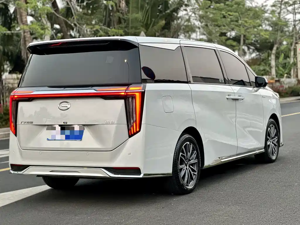 GAC Motor Trumpchi M8 2024 — фото 8