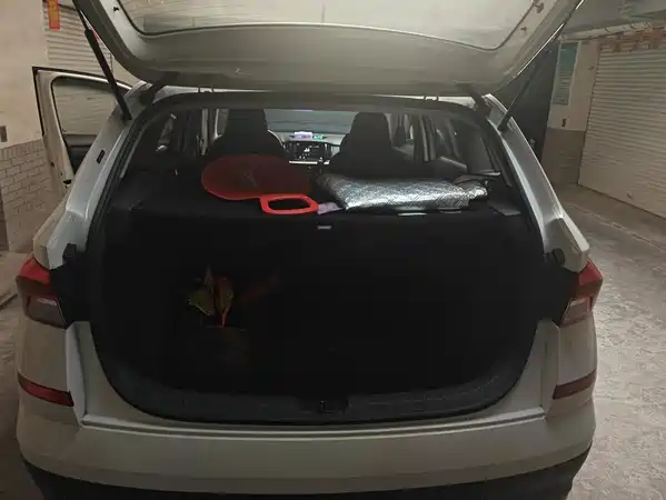 Skoda Kamiq 2019