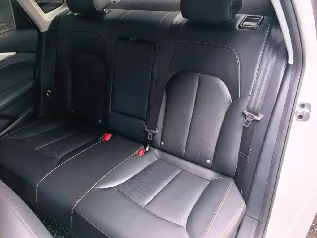 Roewe MAX 2021 — фото 17
