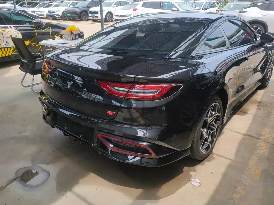 Neta GT 2024