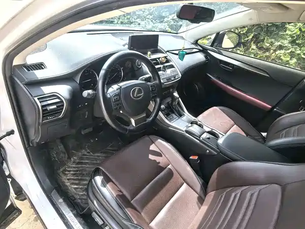 Lexus NX 2020