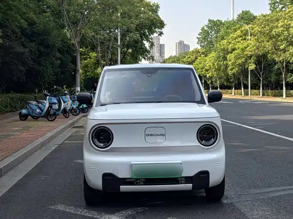 Geely Galaxy Panda 2023