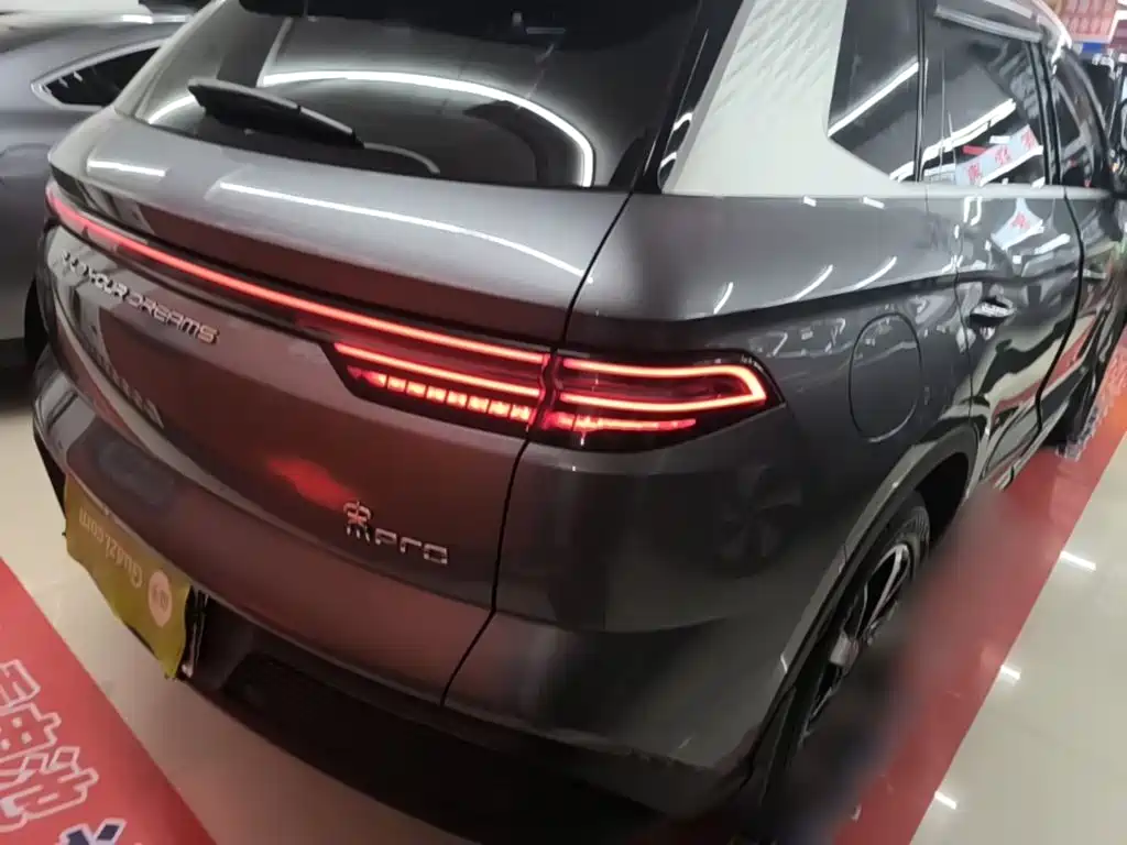 BYD Pro New Energy 2024 — фото 8