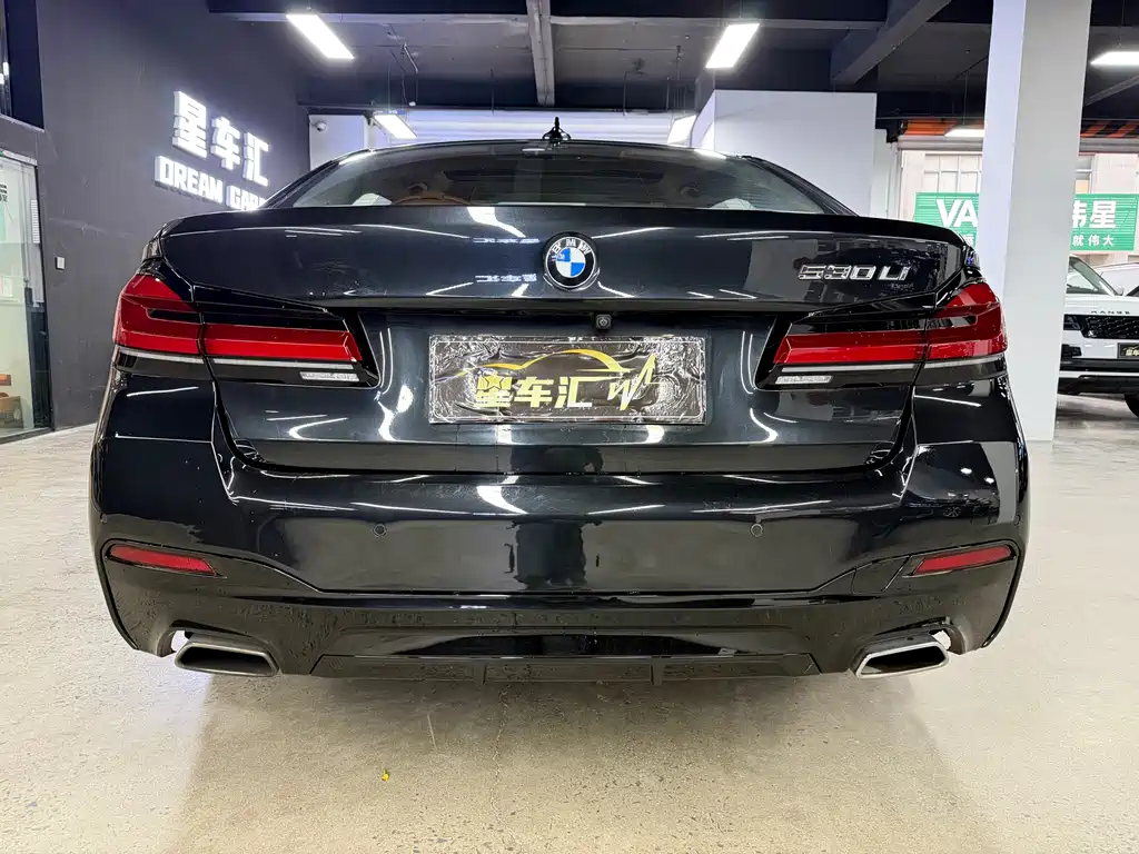 BMW 5 Series 2017 — фото 12