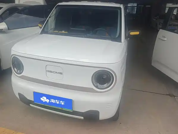 Geely Galaxy Panda 2024