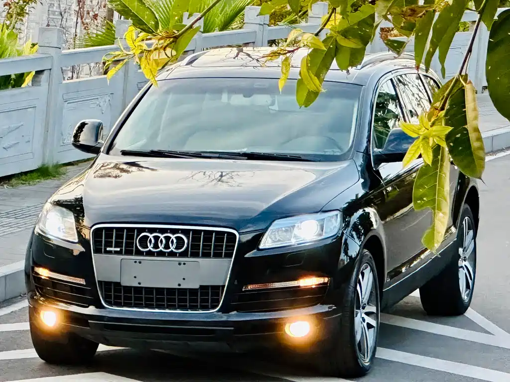 Audi Q7 2008 — фото 10