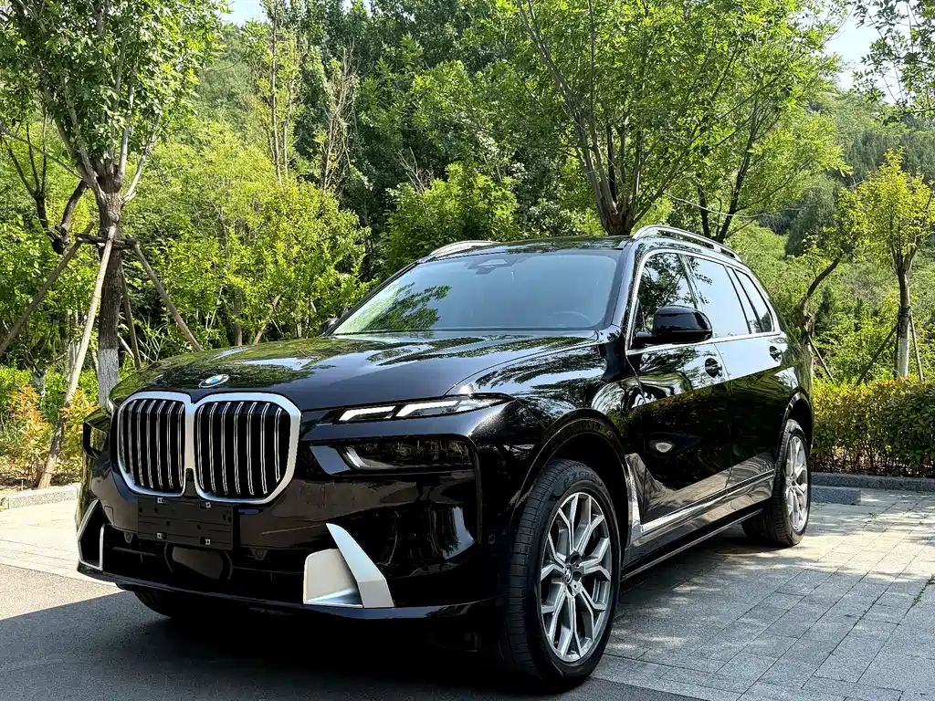 BMW X7 2023 — фото 1