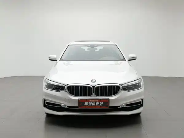 BMW 5 Series New Energy 2020